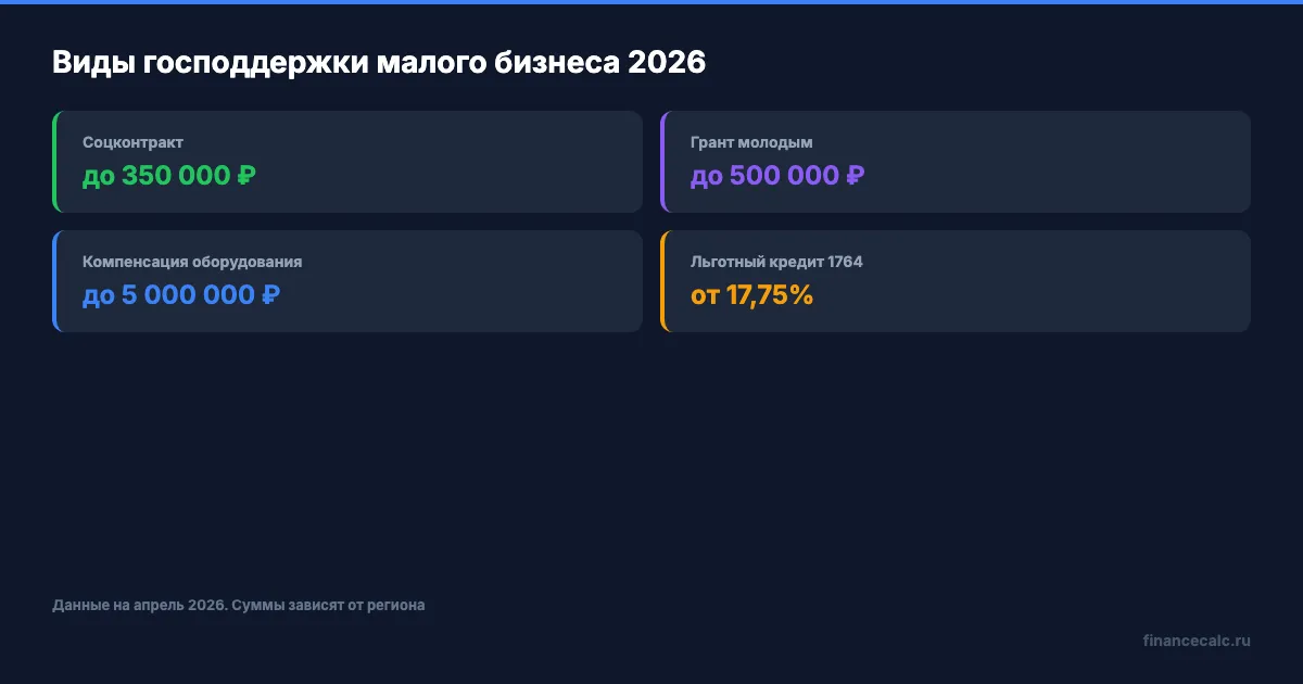 Виды господдержки малого бизнеса 2026
