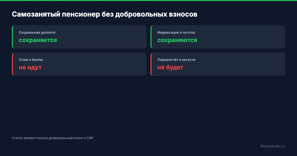 Что сохраняет и что не получает самозанятый пенсионер