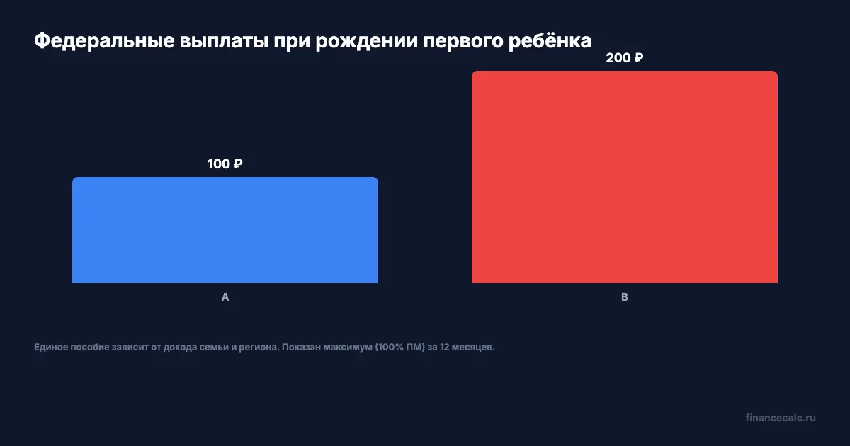 Федеральные выплаты при рождении первого ребёнка