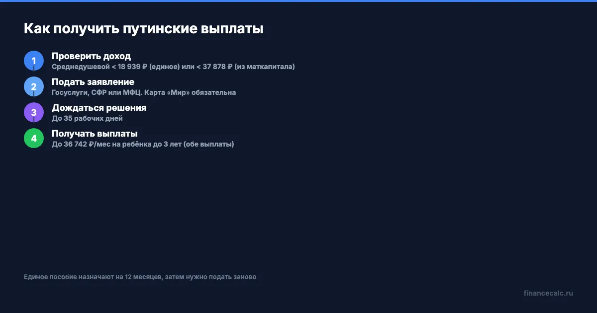 Как получить путинские выплаты — пошаговая инструкция