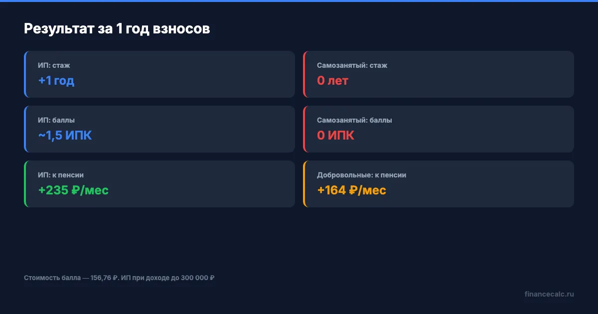 ИП vs самозанятый: результат за год взносов