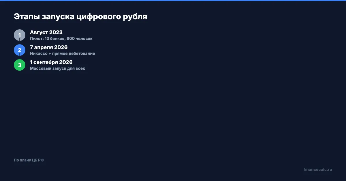Этапы запуска цифрового рубля