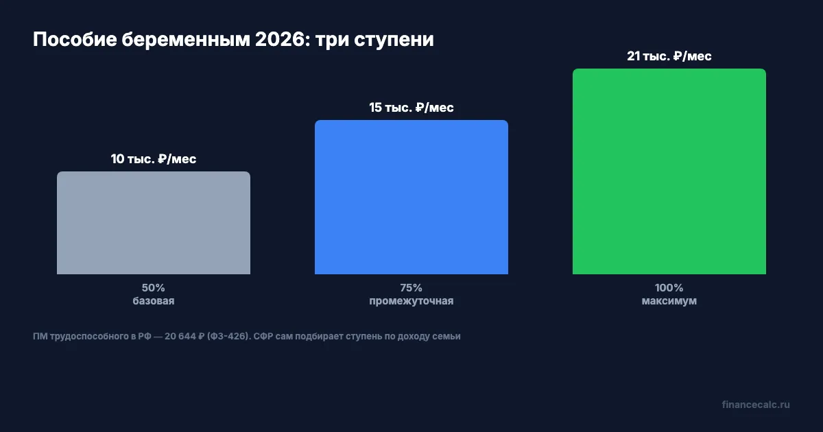 Размер пособия беременным 2026: три ступени