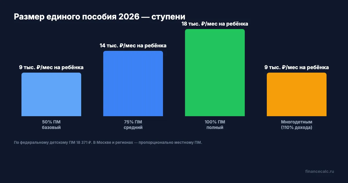Размеры единого пособия 2026 — ступени по возрасту получателя
